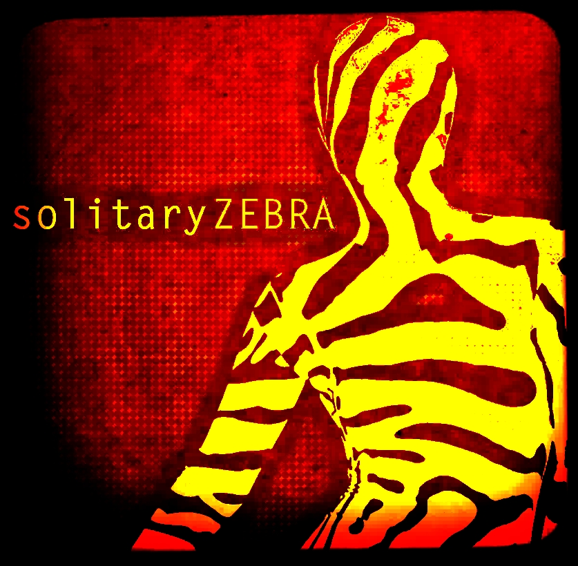 solitary ZEBRA