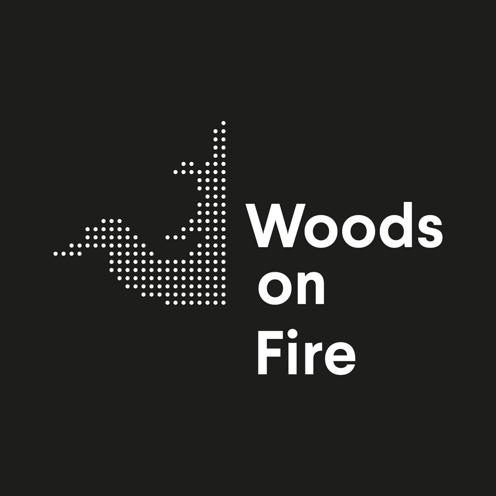 Woods on Fire
