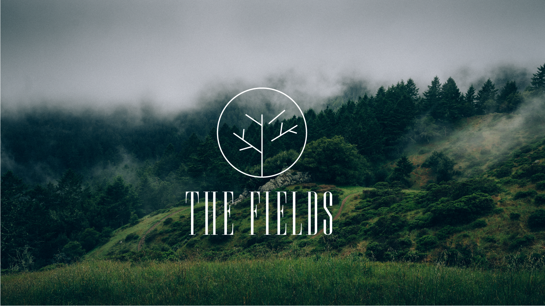 The Fields