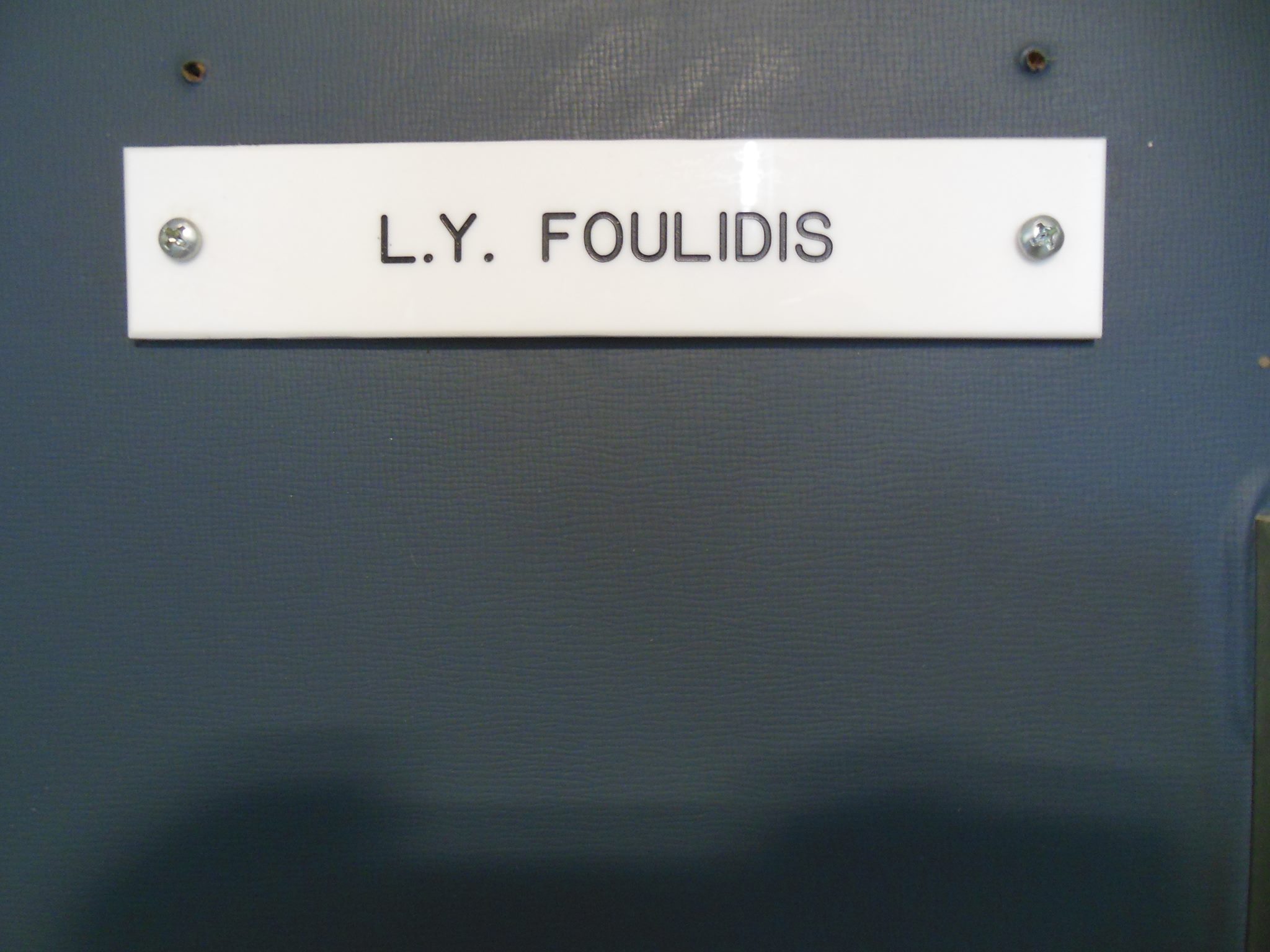 LY Foulidis