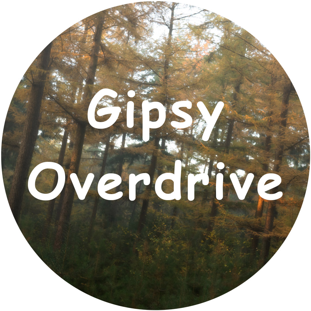 Gipsy Overdrive