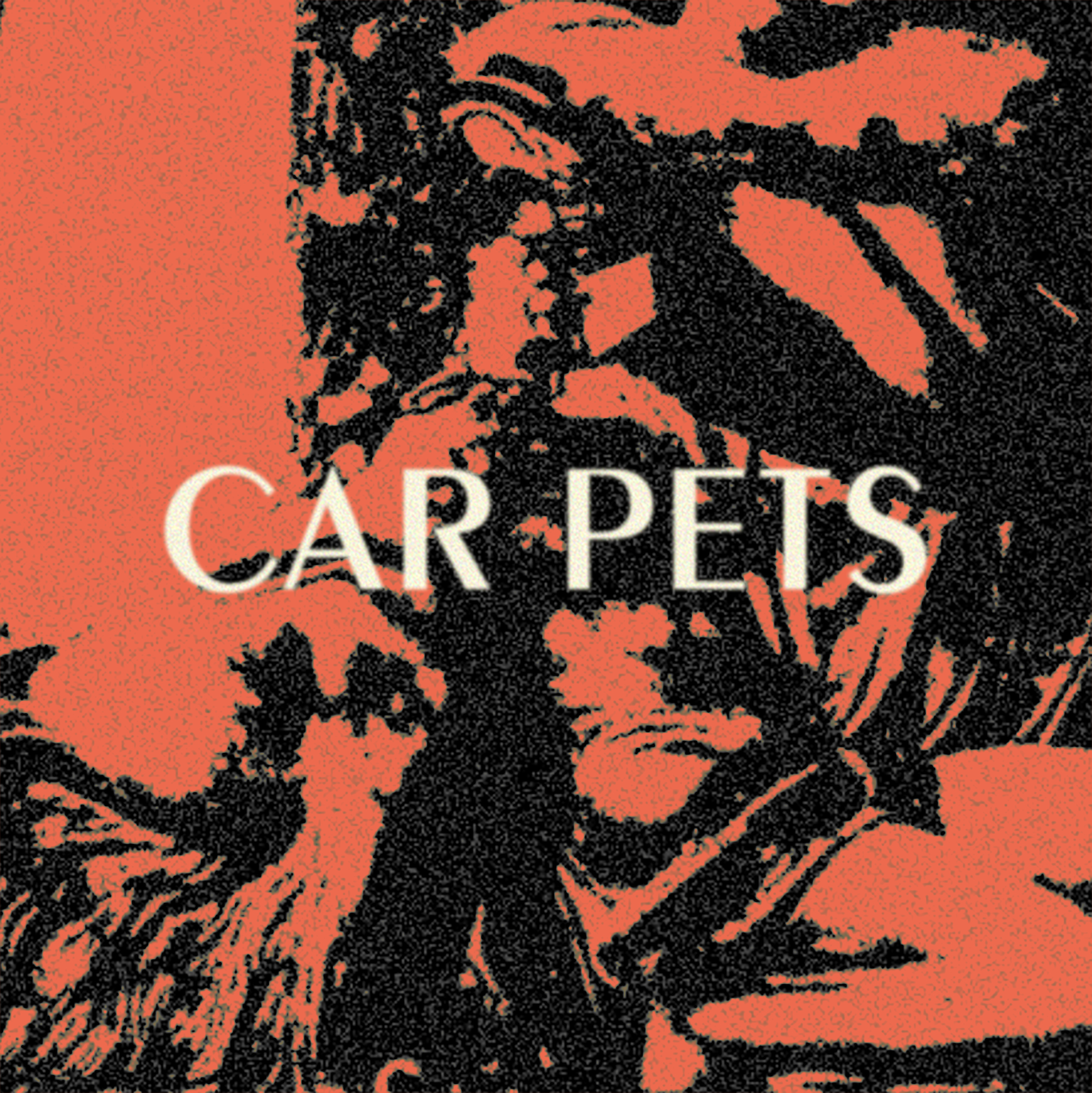 Car Pets