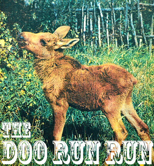 The Doo Run Run