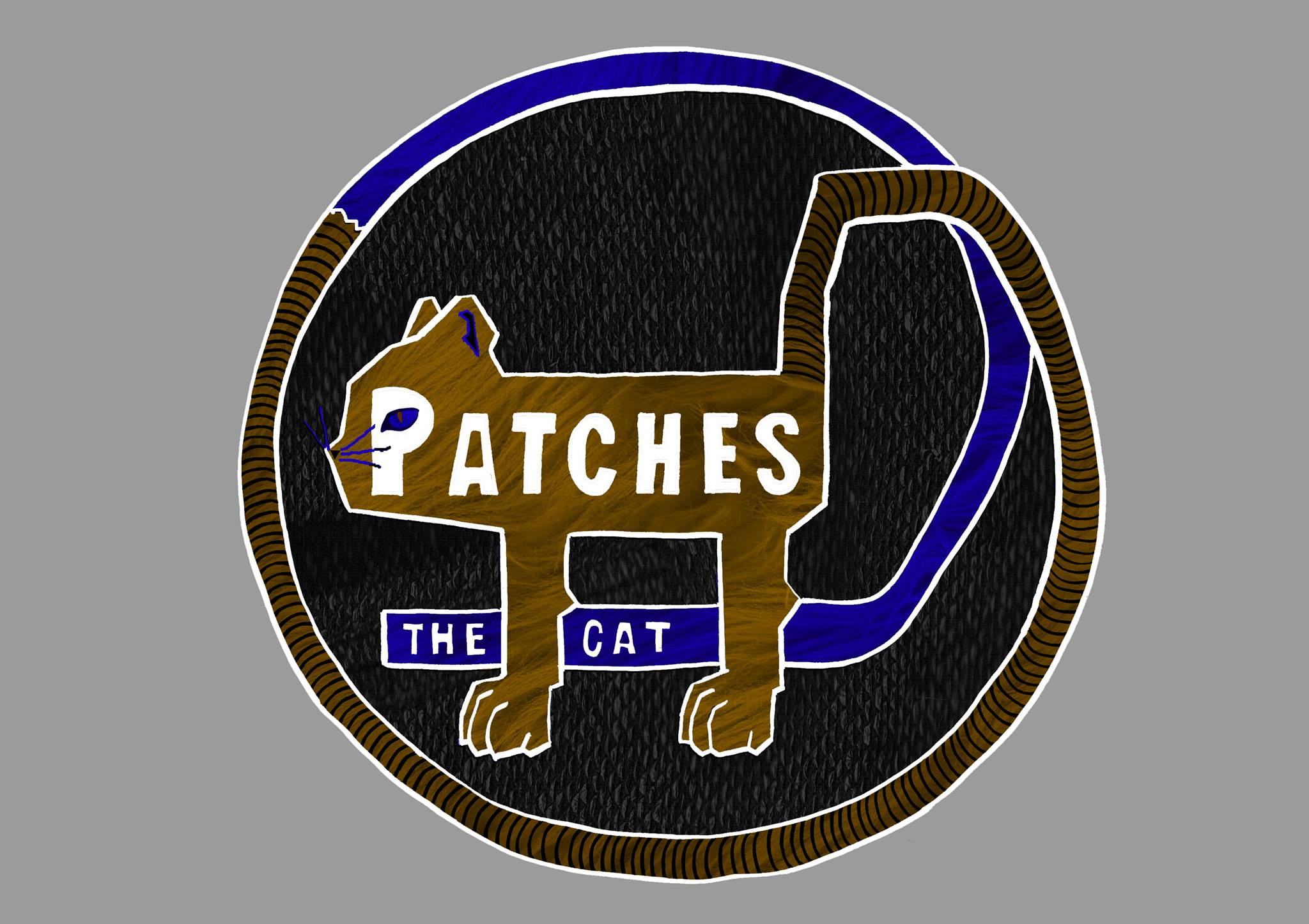 Patches the Cat